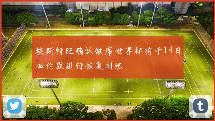 埃斯特旺确认缺席世界杯将于14日回伦敦进行恢复训练