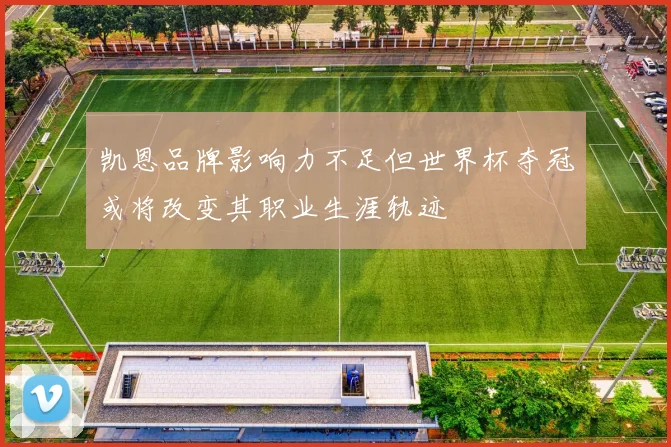 凯恩品牌影响力不足但世界杯夺冠或将改变其职业生涯轨迹
